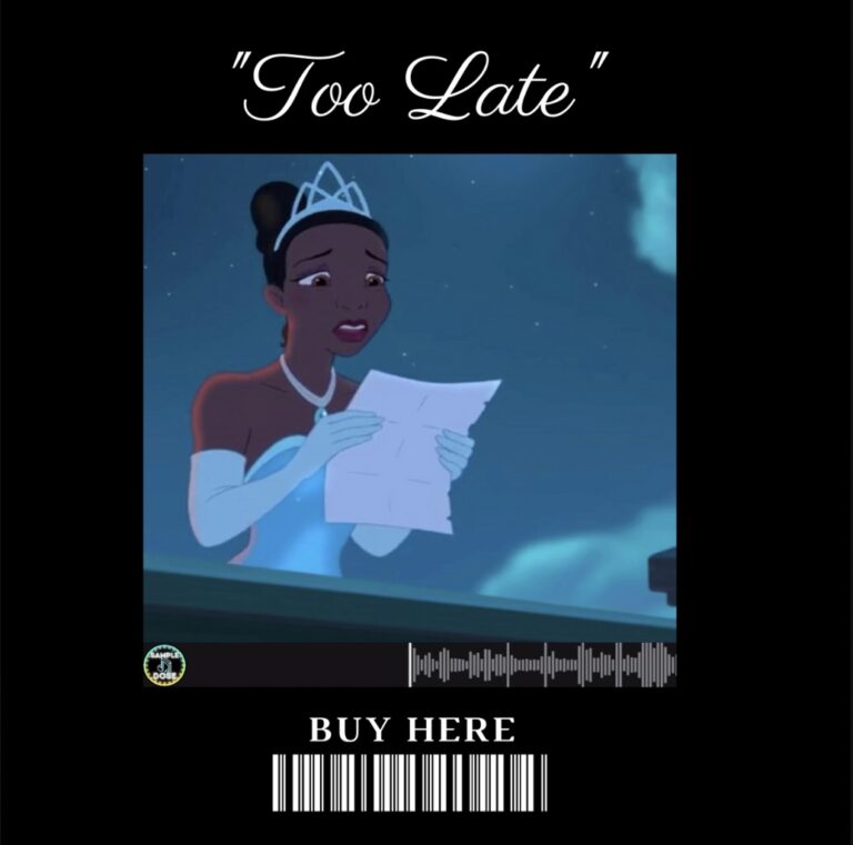 Too late album artwork