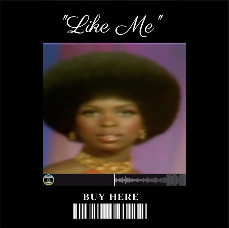 like me album artwork