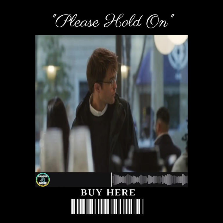 Please Hold On beat artwork by SampleDose