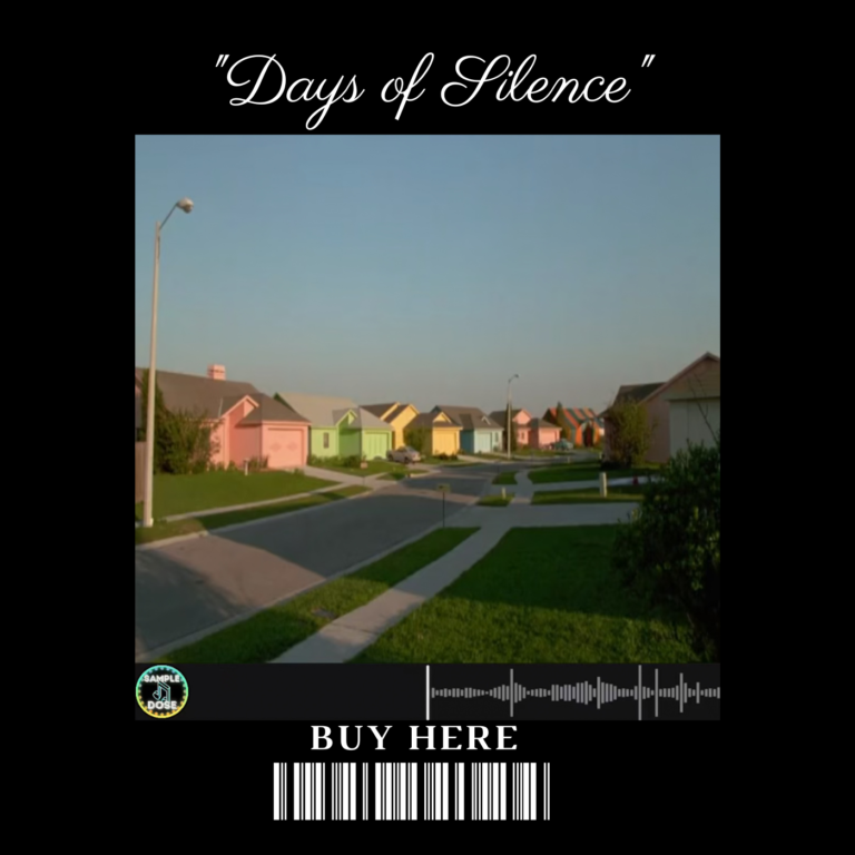 Days of Silence beat artwork by SampleDose